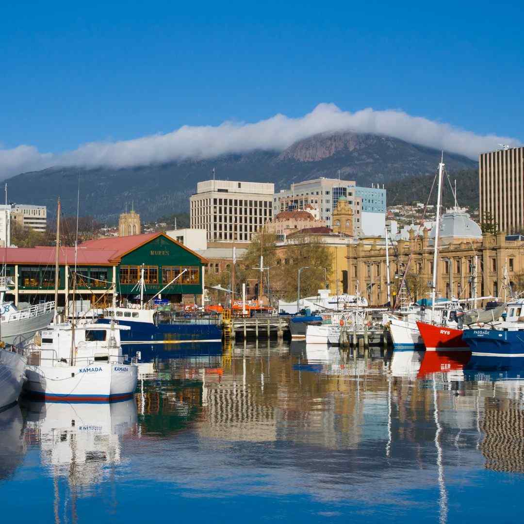 Study in Wellington From Nepal
